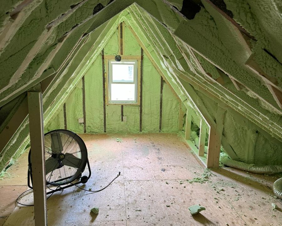 Spray insulation in a roof assembly